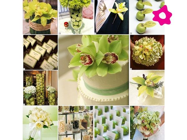 bodas en color