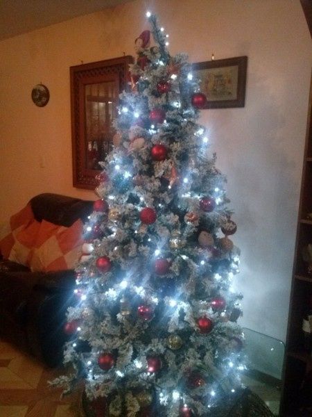 mi arbolito