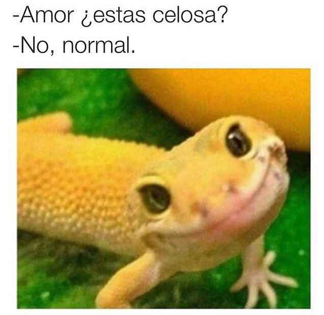 Menos días a nuestros contadores - 2