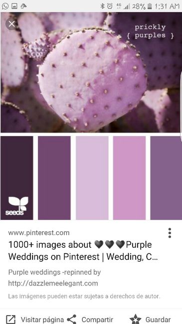 Cual combinación de color elegir - 2