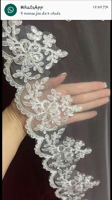 En busca del velo de mis sueños - 2