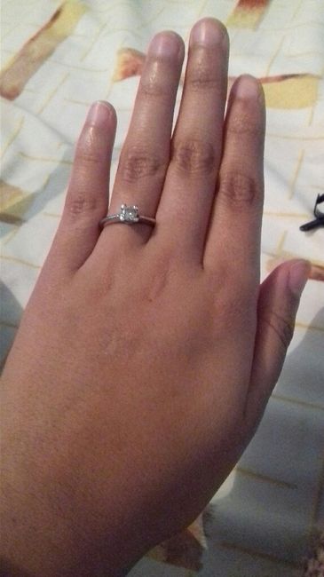 Mi propuesta de matrimonio - 1