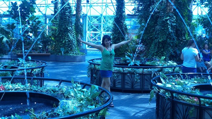 NAVY PIER, EL JARDIN BOTANICO