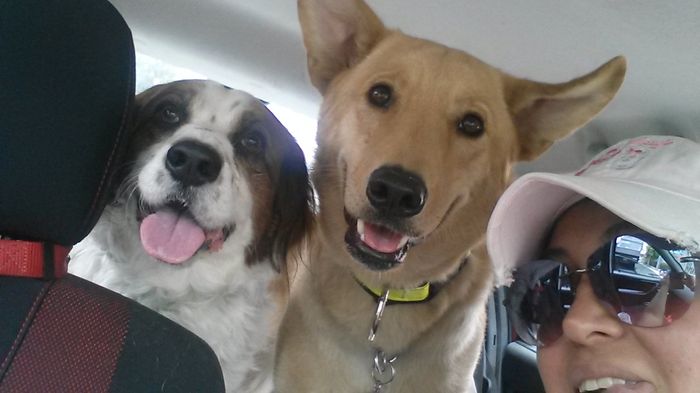La foto de tu mascota! - 1