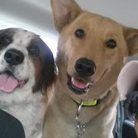 La foto de tu mascota! - 1