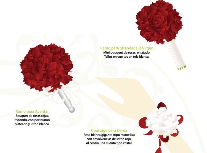 Ramos complementarios