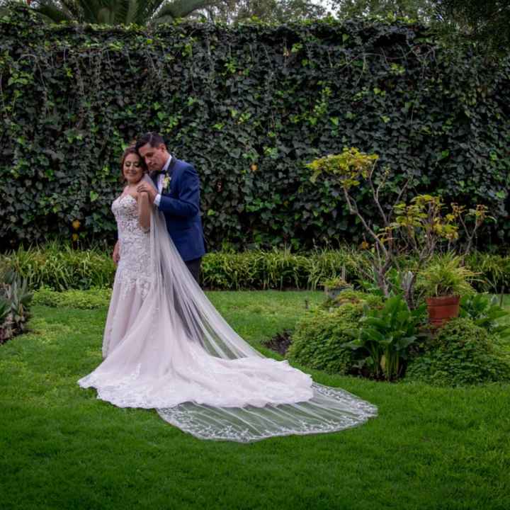 Muéstrenme su Velo - 1