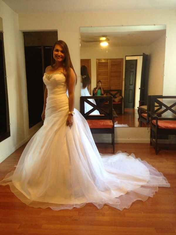 Mi vestido de novia - 1