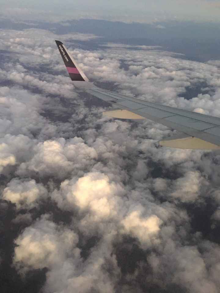  Así nos recibe Oaxaca ❤️ - 1