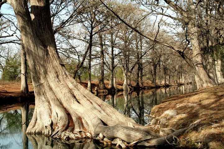 me encanta por que es una mezcla de bosque y agua