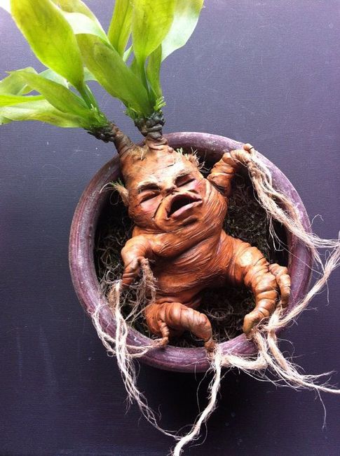  Cita con decoradora 😍 - 1