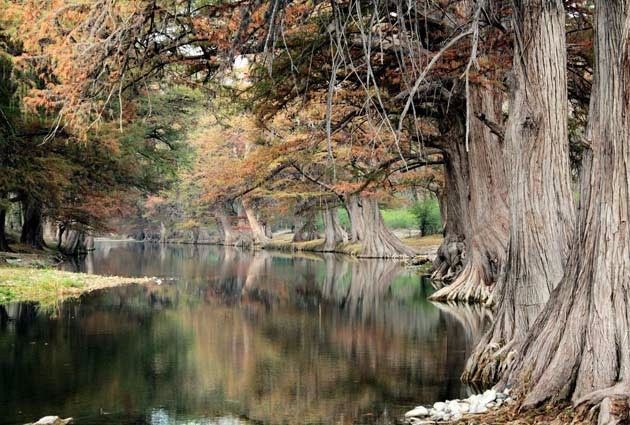 y tiene arboles hermosos justo lo que buscabamos