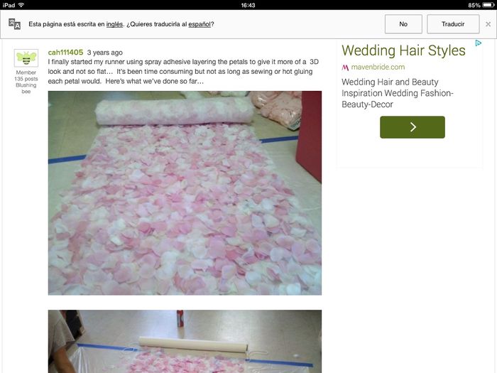 Camino de petalos!! - 1