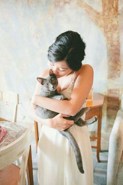  Mascotas en la boda 🐶🐱🐴🐷 - 9