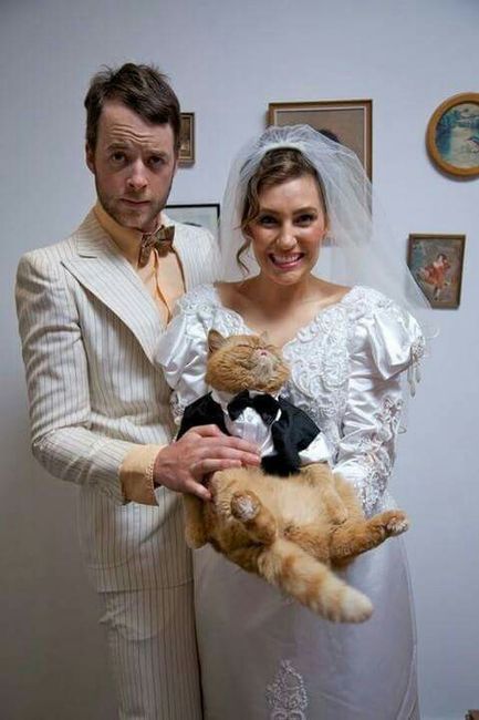  Mascotas en la boda 🐶🐱🐴🐷 - 13
