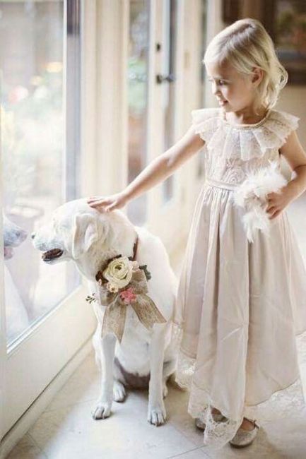  Mascotas en la boda 🐶🐱🐴🐷 - 14