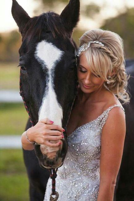  Mascotas en la boda 🐶🐱🐴🐷 - 17