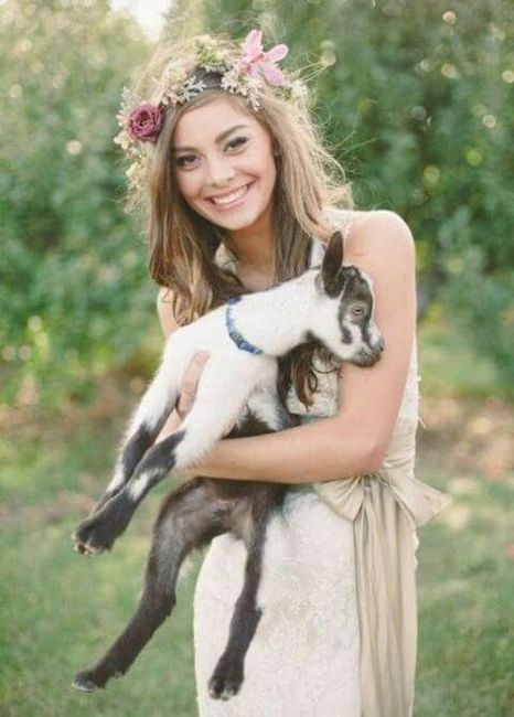  Mascotas en la boda 🐶🐱🐴🐷 - 20