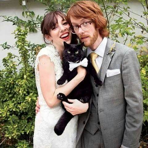  Mascotas en la boda 🐶🐱🐴🐷 - 21