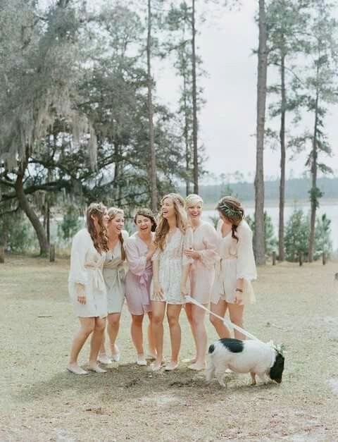  Mascotas en la boda 🐶🐱🐴🐷 - 24