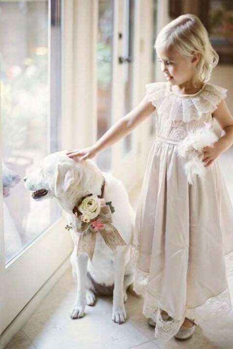  Mascotas en la boda 🐶🐱🐴🐷 - 14