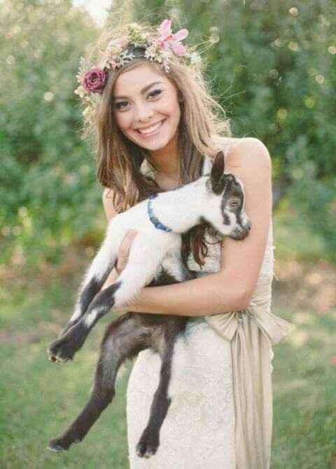  Mascotas en la boda 🐶🐱🐴🐷 - 20