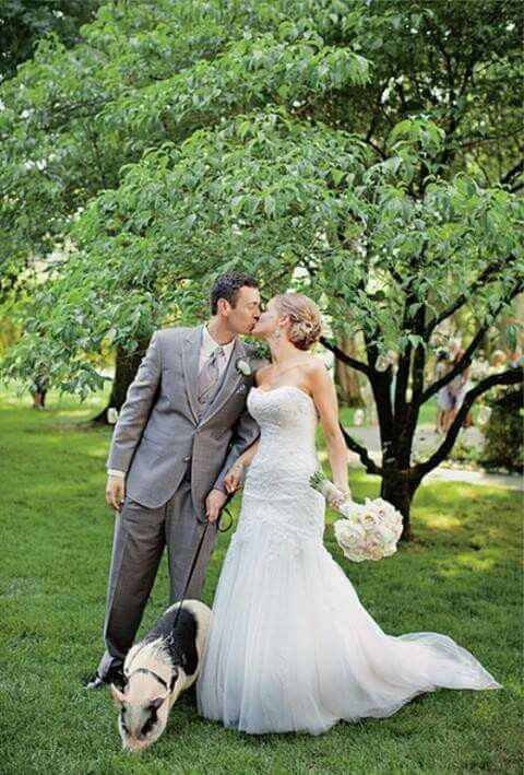  Mascotas en la boda 🐶🐱🐴🐷 - 22