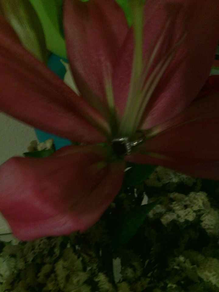 Gran sorpresa!!! <3 - 5