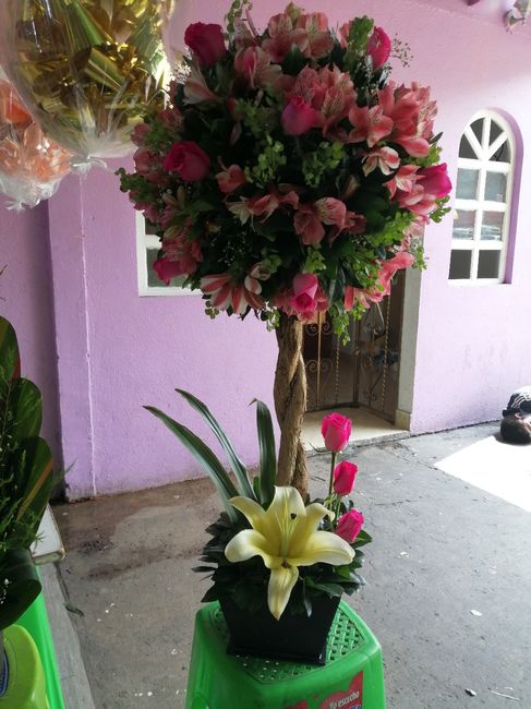 un árbol es algo lindo y se ve super elegante