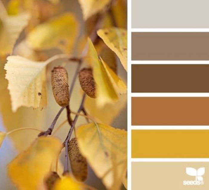 Que color elegir en otoño? - 1