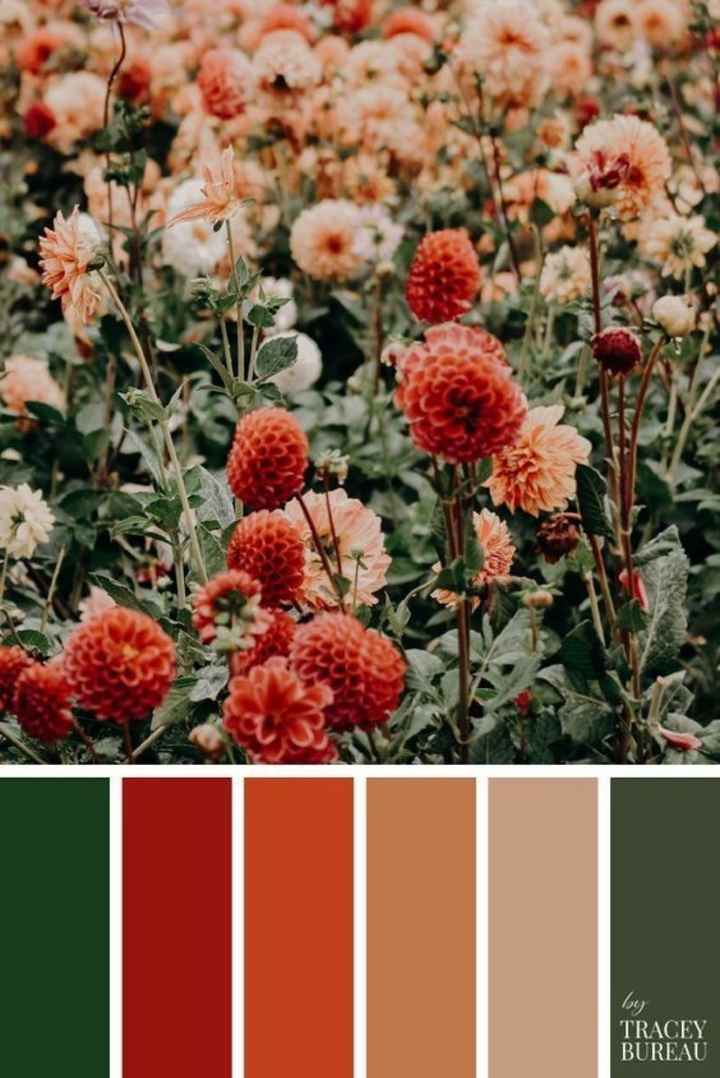 Que color elegir en otoño? - 2
