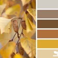 Que color elegir en otoño? - 1