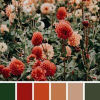 Que color elegir en otoño? - 2
