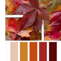 Que color elegir en otoño? - 3