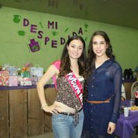 Despedidas de soltera - 2