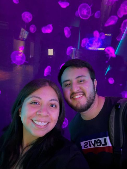 🎁 ¡GANA EL REGALITO DE NOVIEMBRE! 🎁 - 1