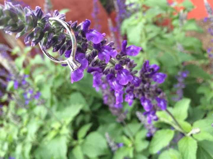 ¡si, me caso! alejandra - 9