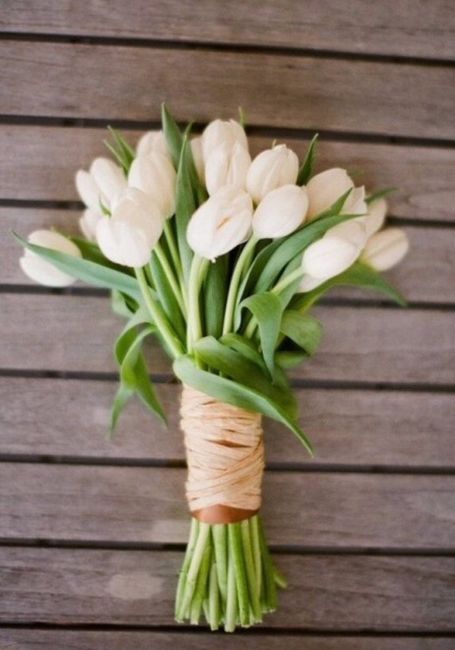 ¡si, me caso! alejandra - 3