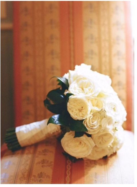 Ale mi mochila me lleva a américa - 3