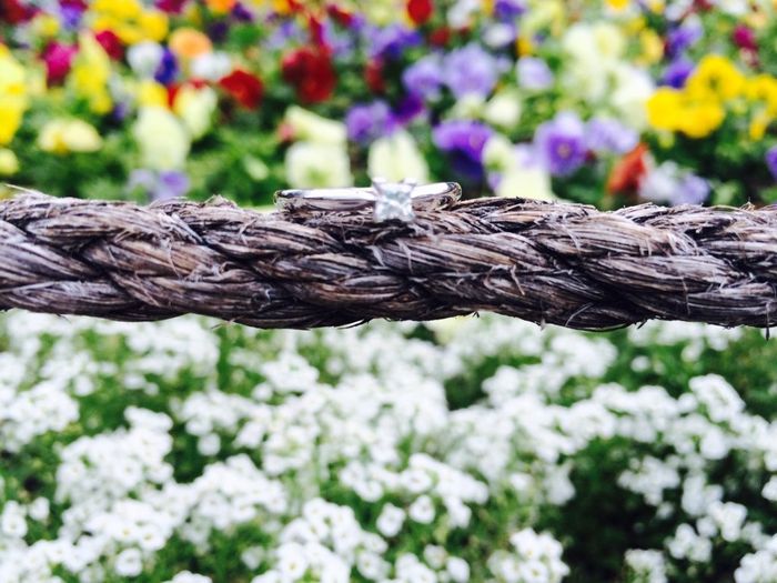 ¿Cómo presumiste tu anillo de compromiso en las redes? - 1