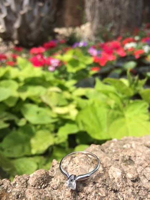 Anillo de compromiso