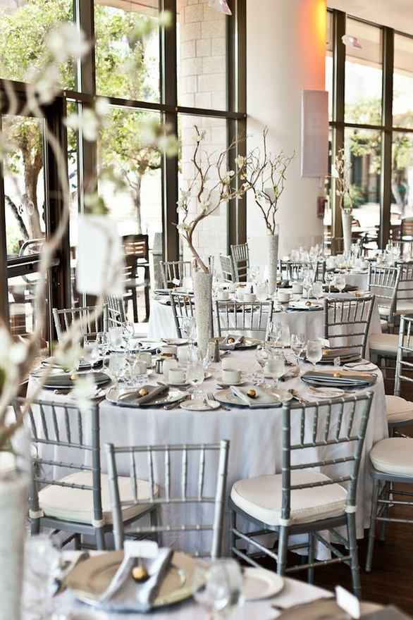 arbol de manzanita