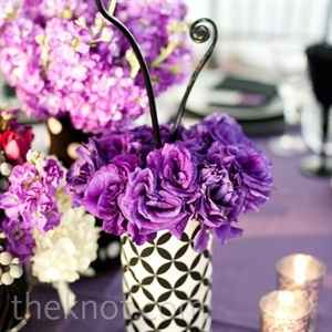 purple3