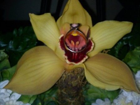 MI ANILLO DE COMPROMISO