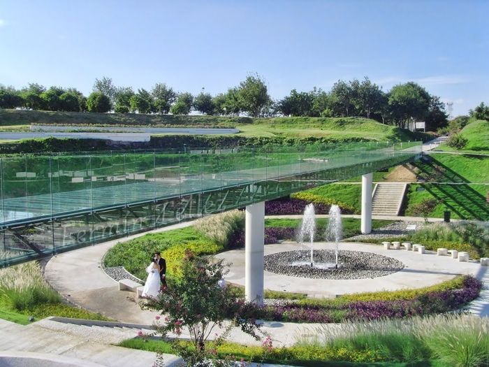 Puente de cristal