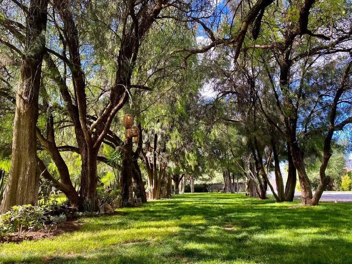 1a cosa a considerar: ¿Dónde será tu boda civil? 2