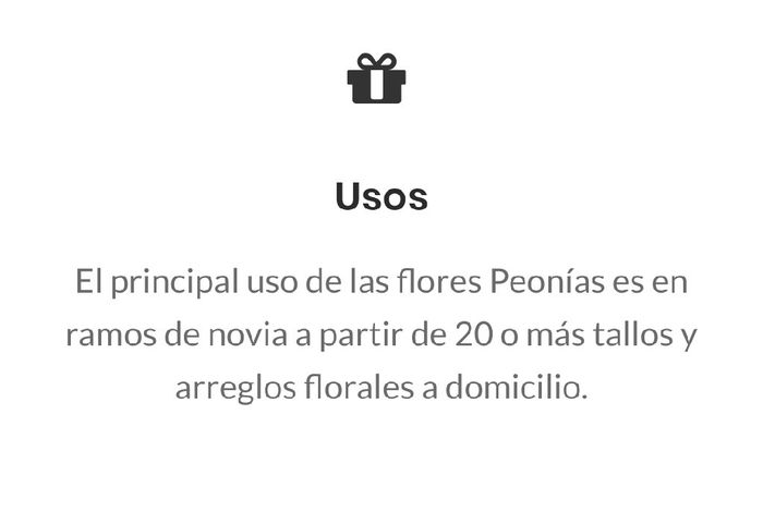 Peonías en noviembre 6