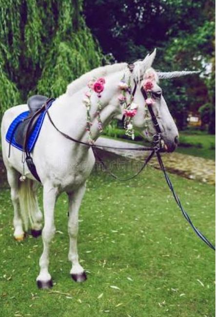 Unicornios, temática de boda de moda - 5