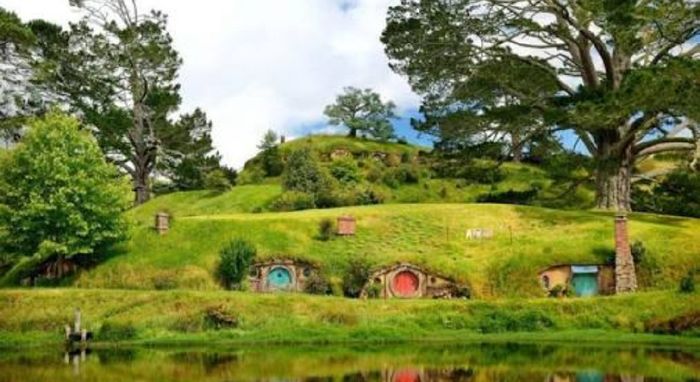 Mi Luna de Miel-lily 1