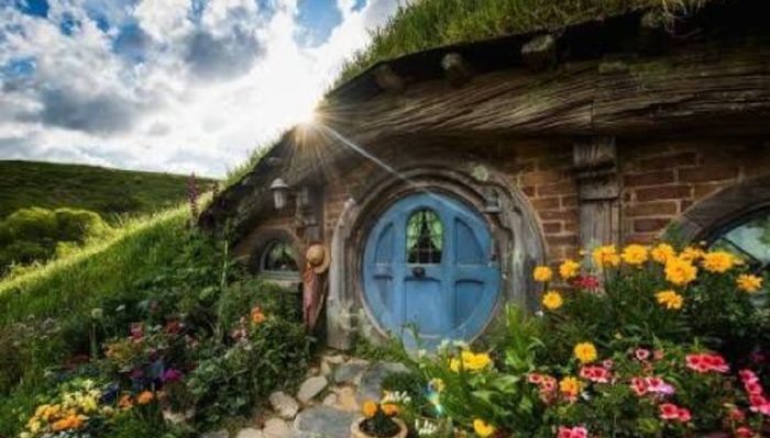 Mi Luna de Miel-lily 4